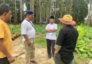 Perkumpulan Masyarakat Muslim Mimika (P3M) telah diberikan lahan wakaf seluas tiga setengah hektare untuk lahan pemakamam umum bagi