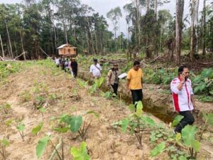 Perkumpulan Masyarakat Muslim Mimika (P3M) telah diberikan lahan wakaf seluas tiga setengah hektare untuk lahan pemakamam umum bagi
