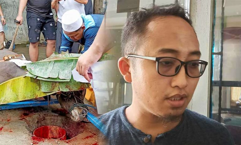 Pimpinan Daerah (PD) Muhammadiyah Kabupaten Mimika, Provinsi Papua menerima hewan kurban sebanyak 6 ekor sapi dan 1 ekor kambing