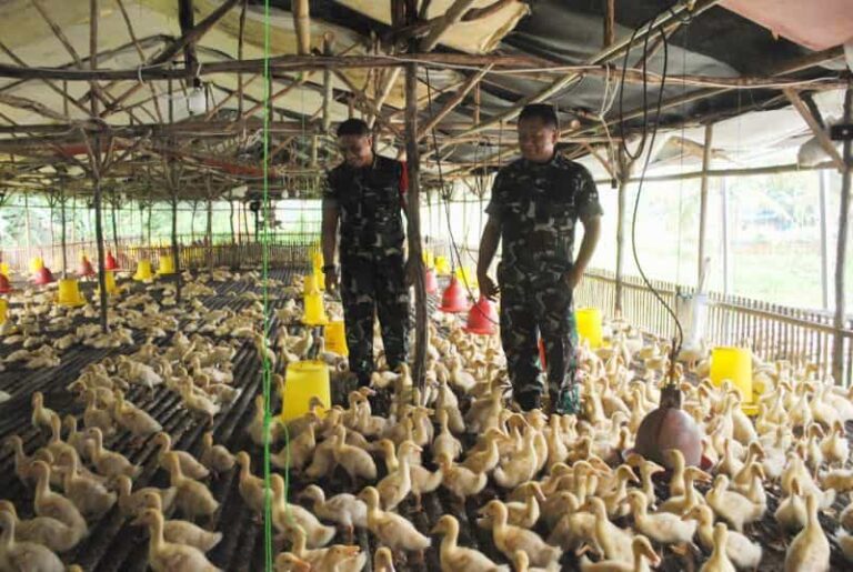 Kunjungan Kasrem 052/Wkr Didampingi Dandim 0510/Trs Tinjau Food Estate
