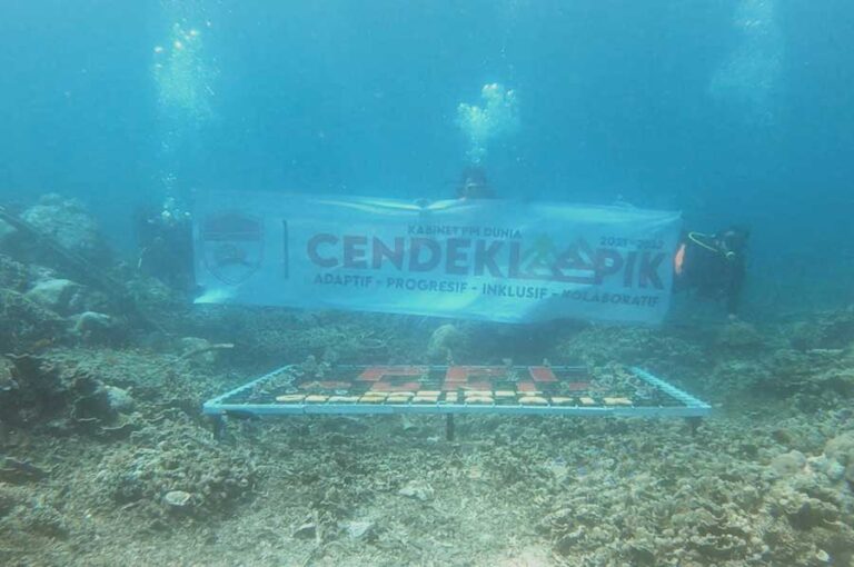 PPI Dunia menggandeng Indonesia Coral Institute (ICI) melaksanakan kegiatan pelestarian ekosistem laut dengan tanam terumbu karang