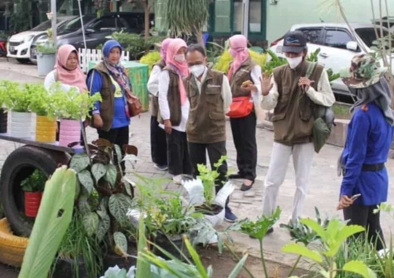 Menarmed 2 Kostrad menjadi Pelopor Urban Farming Terbaik Tingkat Kota Malang