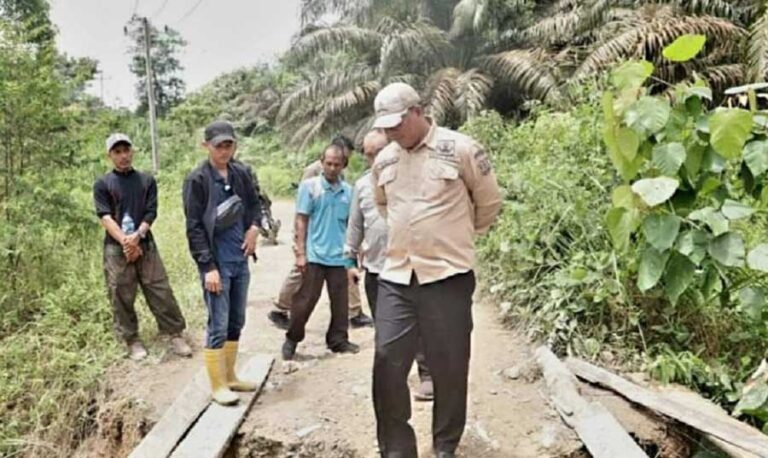 Kondisi jembatan Sungai Asam dan Jembatan Sungai Beluru yang berada di Desa Lubuk Bernai, Kecamatan Batang Asam mulai ditinjau Wakil