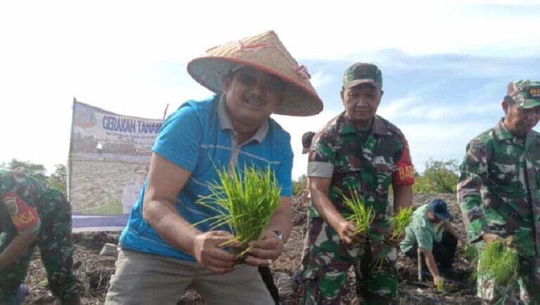 Bupati Tanjung Jabung Barat (Tanjabbar), Anwar Sadat, menghadiri tanam padi perdana, di Jalan A. Khalik, RT 11/08, Sungai Tiram, Kelurahan