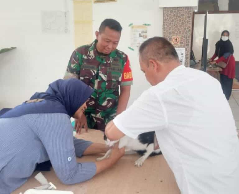 Cegah Penyakit Rabies Hewan, Ini Yang Dilakukan Babinsa Koramil Cakung