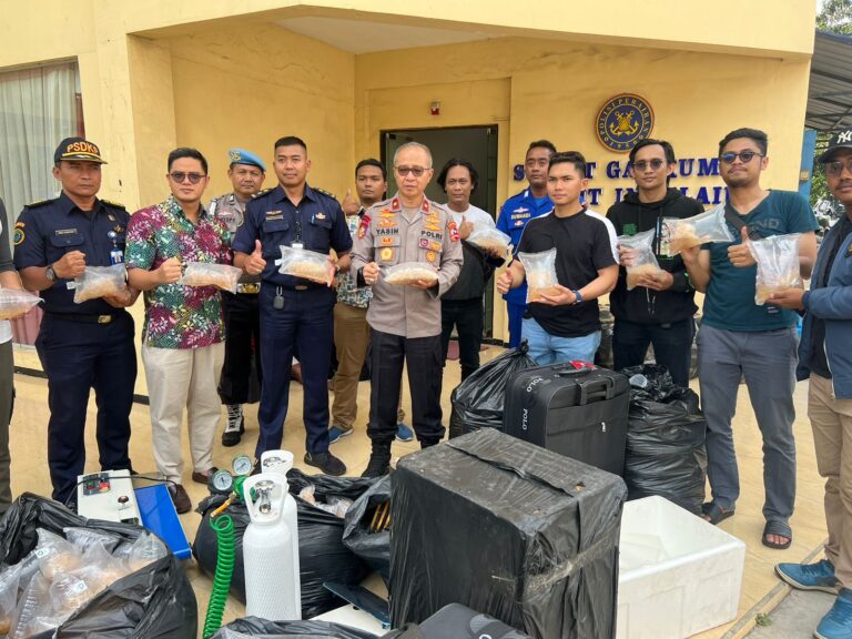 Ditpolair Baharkam Polri Gagalkan 350 Ribu Baby Lobster yang Berpotensi Rugikan Negara Rp87.5 Miliar Rupiah