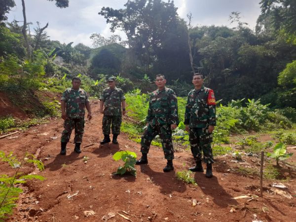 Dukung Ketahanan Pangan, Kodim 0505/JT Buka Lahan Urban Farming