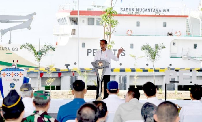 Presiden Jokowi Resmikan Rehabilitasi Pelabuhan Wani dan Pantoloan Provinsi Sulteng