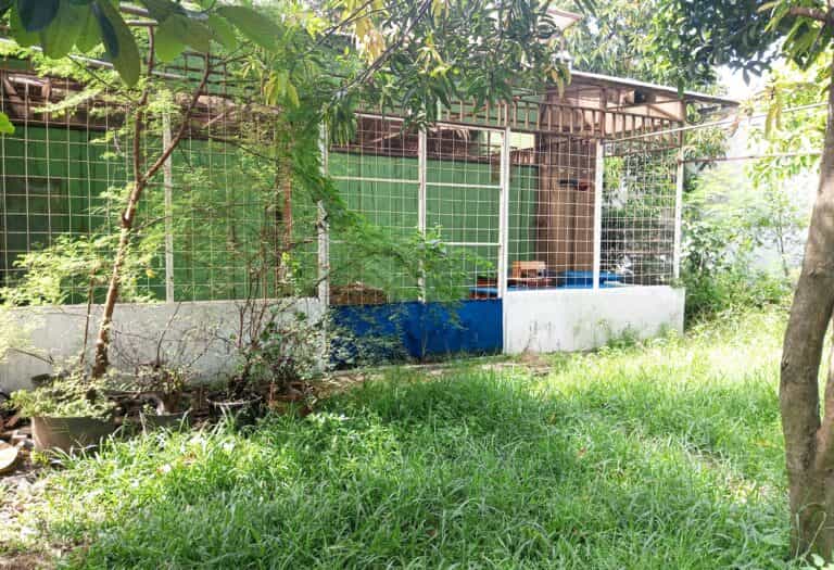 Sejumlah Fasilitas Sentra Flora dan Fauna di Semanan Terbengkalai