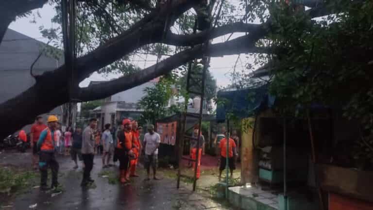 Polsek Kembangan Tanggap Aduan Warga Adanya Pohon Tumbang di Jalan Manunggal Meruya Selatan