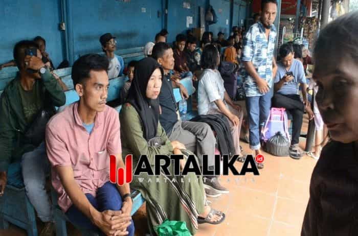 Calon Penumpang Bus Naik 50 Persen Jelang Pergantian Tahun 2024/2025