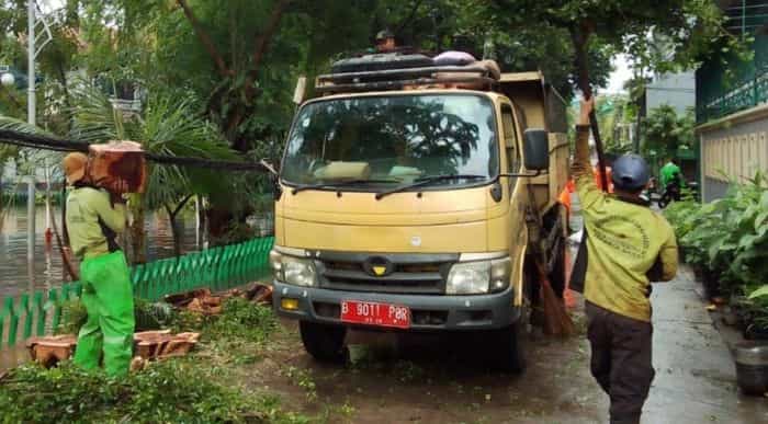 Evakuasi Pohon Tumbang Sudis Tamhut Jakbar Kerahkan 2 Tim