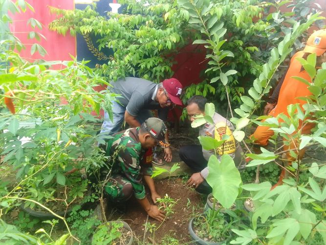 Babinsa Koramil Cempaka Putih Bersama Sudis Tamhut Jakpus Laksanakan Penopingan dan Penanaman Pohon