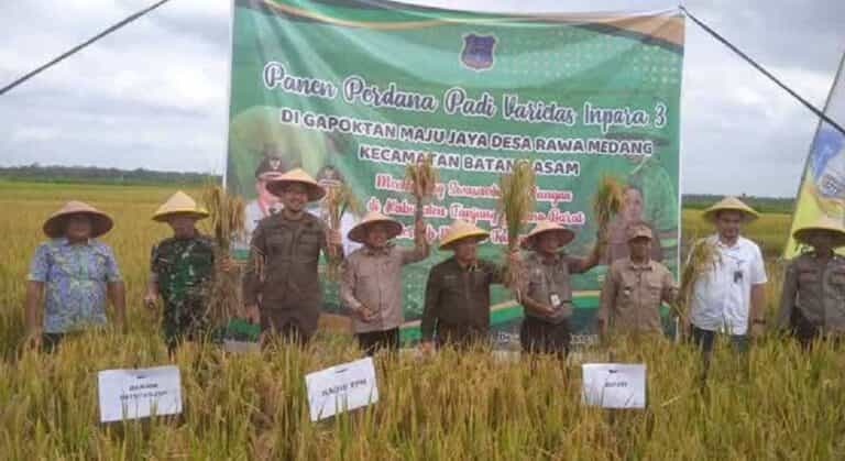 Mewakili Bupati, Asisten Perekonomian dan Pembangunan Kabupaten Tanjung Jabung Barat, Ir. H. Firdaus Khatab, hadiri acara panen perdana