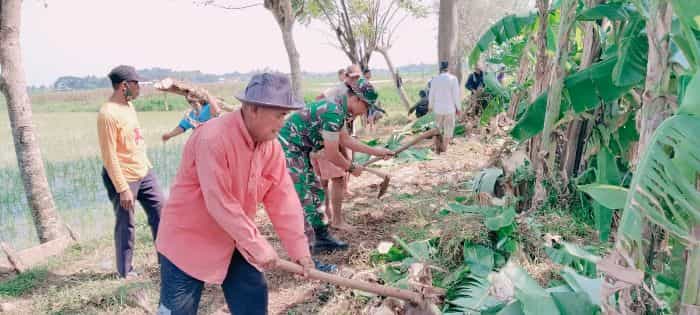 Babinsa Kresek dan Warga Bersihkan Jalan Irigasi Desa Talok