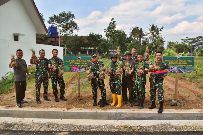 Inovatif dan Kreatif, Manfaatkan Lahan Dukung Hanpangan