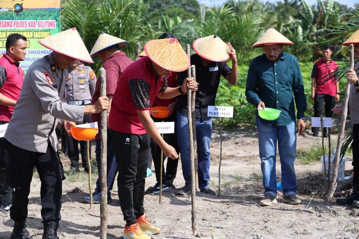 Penanaman Jagung Tahap Kedua, Kapolres Belitung: Bukan Hanya Sekadar Simbolis