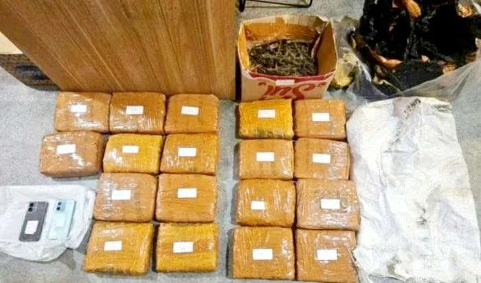 Polda Metro Jaya Sita 18 Kg Ganja di Jakarta Barat, Satu Tersangka Ditangkap, berinisial AG (39), aduan masyarakat terkait aktivitas mencurigakan di kawasan Duri Kepa, Kebon Jeruk.