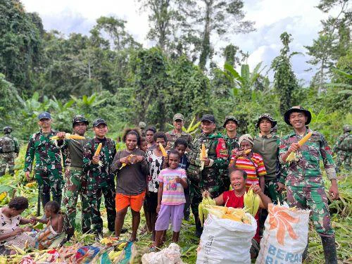 Pos Selal Satgas Swasembada Yonif 751/VJS Petik Jagung Ketahanan Pangan Bersama Warga, panen jagung ini diawali dengan pengecekan lahan dan kesiapan tanaman, kemudian dilanjutkan pemetikan jagung secara bersama-sama. Hasil panen ini diharapkan dapat dimanfaatkan untuk kebutuhan pangan masyarakat