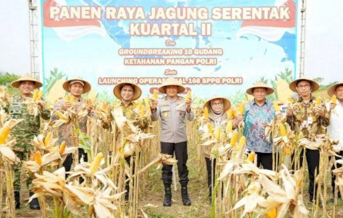 Sinergi Perkuat Ketahanan Pangan, Kapolda Jateng Irjen Pol. Ribut Hari Wibowo dan Wakil Gubernur Taj Yasin Maimoen Hadiri Panen Raya Jagung Kuartal II Tahun 2026 di Dukuh Banjarsari RT 07 RW 03, Kecamatan Teras, Kabupaten Boyolali, Sabtu (16/5/2026).