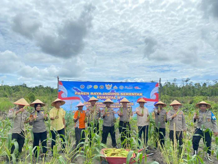 Polres Belitung Gelar Panen Raya Jagung Serentak Kuartal II Tahun 2026 Dukung Swasembada Pangan berlangsung di Jalan Renati, Dusun Air Gelarak, Desa Air Selumar, Kecamatan Sijuk, Kabupaten Belitung
