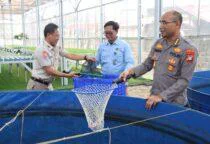 Polda Metro Jaya dan Polres Jakbar Panen 219 Kg Ikan Nila di Greenhouse Palmerah, Kegiatan panen tersebut dipimpin langsung oleh Kombes Pol. Ardanto Nugroho