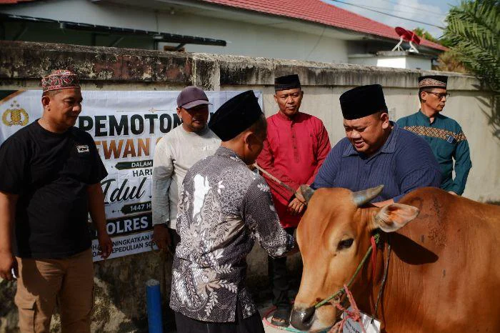 Polres Belitung Qurban 9 Ekor Sapi dan 3 Kambing di Hari Raya Idul Adha, kegiatan pemotongan hewan qurban di lingkungan Mapolres Belitung